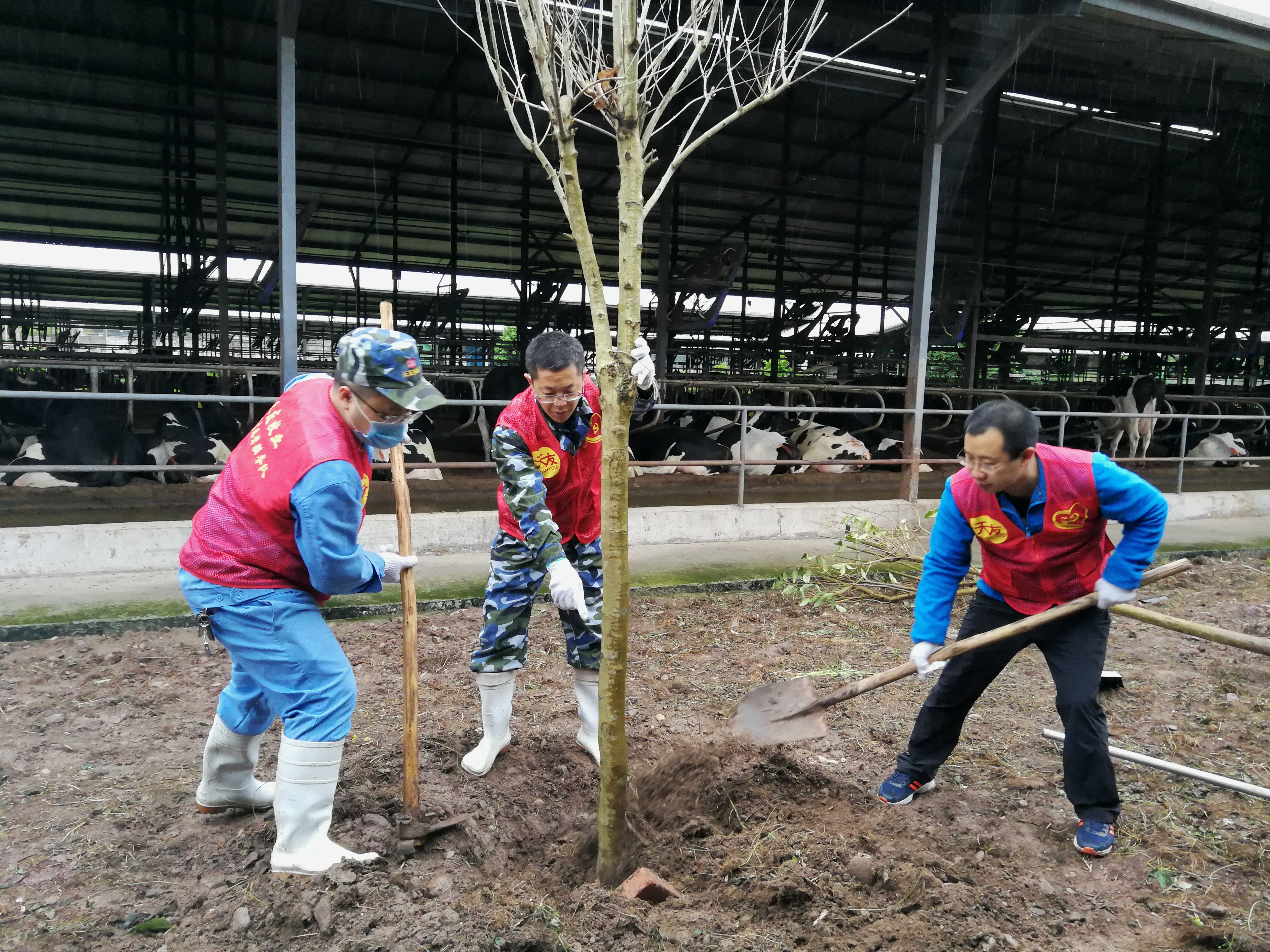 欧亿平台·(中国区)官方网站