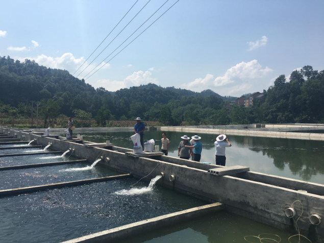 欧亿平台·(中国区)官方网站