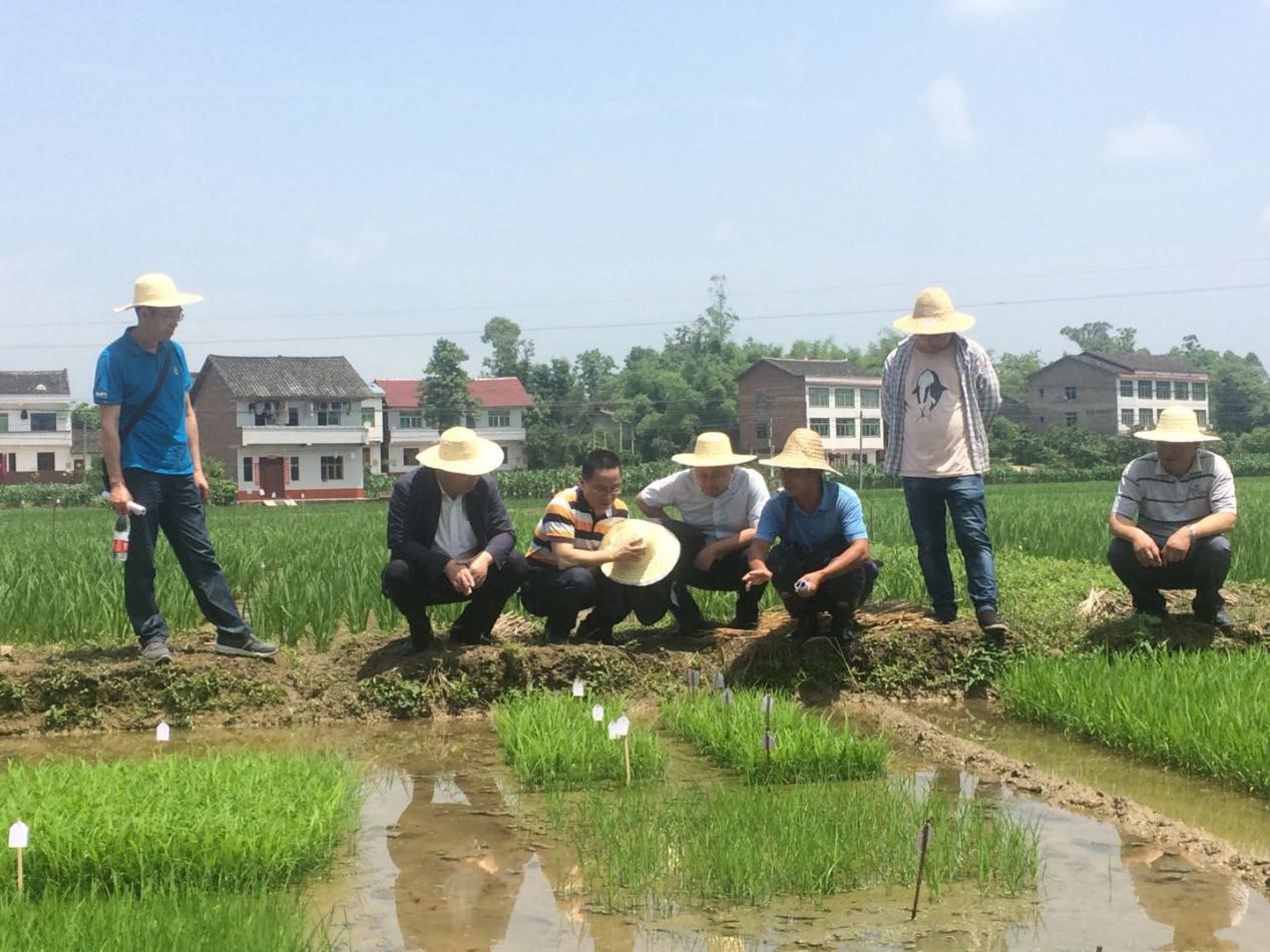 欧亿平台·(中国区)官方网站