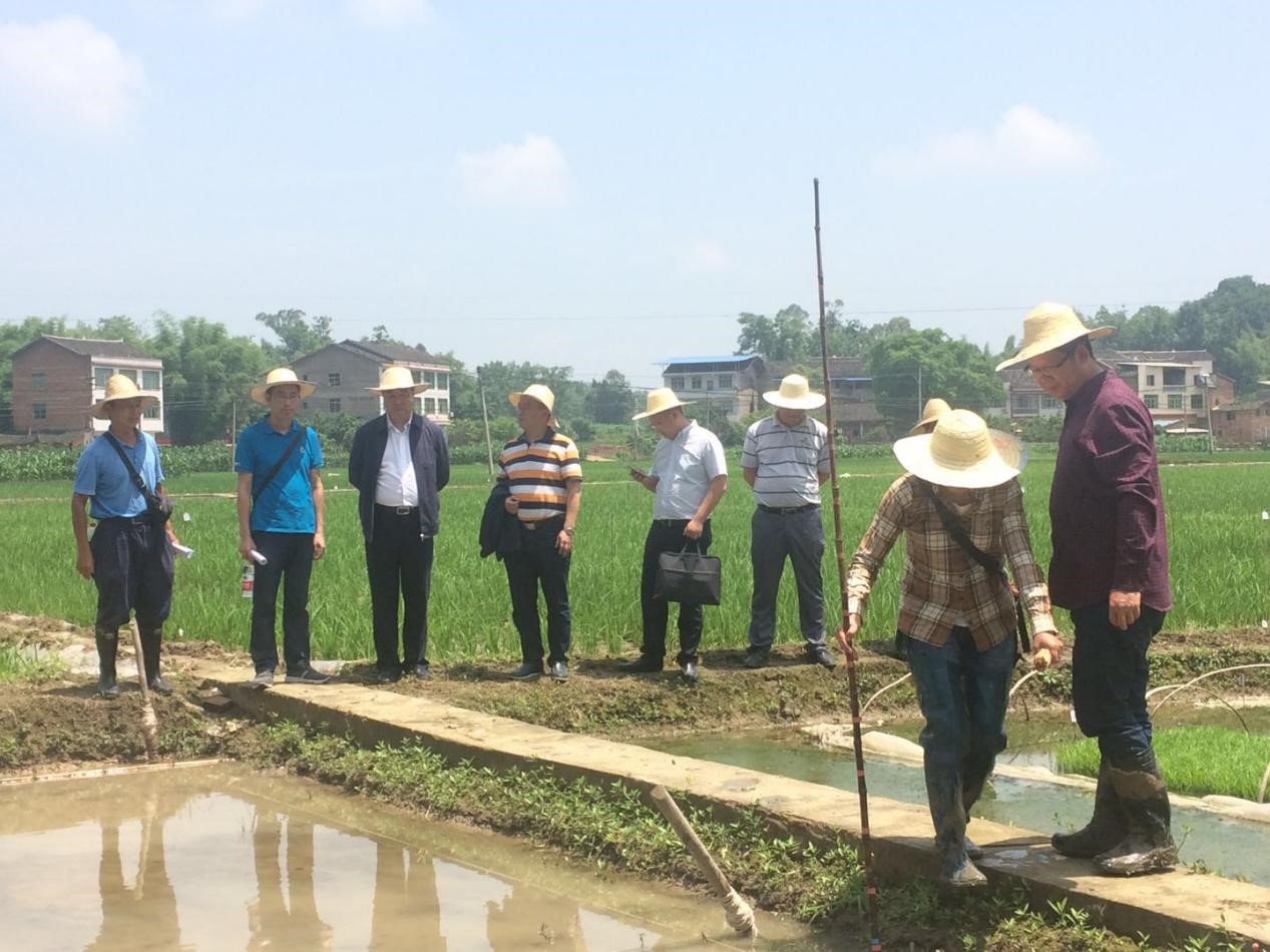 欧亿平台·(中国区)官方网站