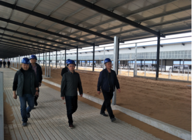 欧亿平台·(中国区)官方网站